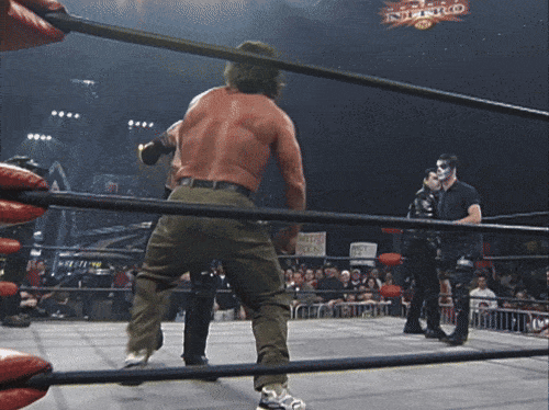 GIF 3